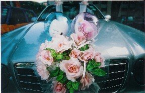 bridal car decorations